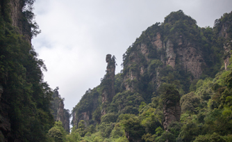 ​张家界旅游集团股份有限公司观光电车有限公司