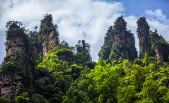 张家界旅游集团股份有限公司观光电车有限公司5