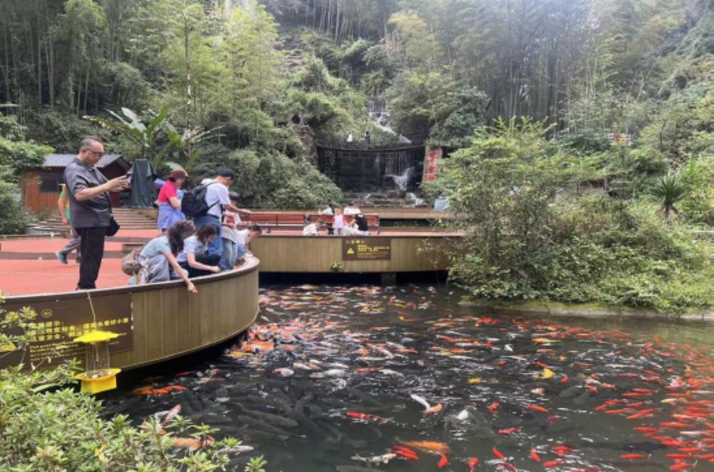 张家界宝峰湖十月客流强势回升,山水画卷引客来